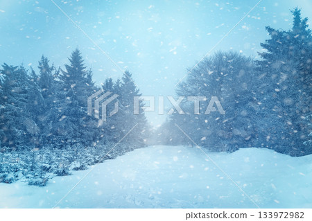 Winter Forest Road Covered with Snow During Heavy Snowfall stock photo Winter Forest Road Covered with Snow During Heavy Snowfall stock photo 133972982