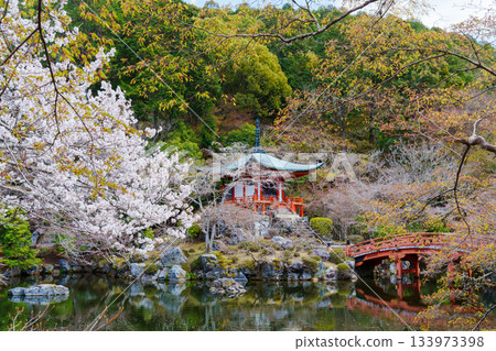 Bentendo Hall in Spring at Daigoji Temple, Kyoto Bentendo Hall in Spring at Daigoji Temple, Kyoto 133973398