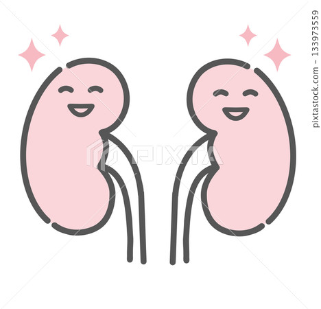 Healthy and energetic kidney character illustration (normal, smiling) Healthy and energetic kidney character illustration (normal, smiling) 133973559