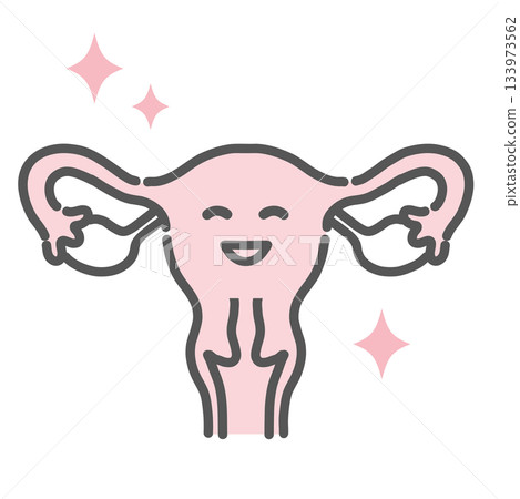 Healthy and healthy uterus character illustration (normal female genitalia) 133973562