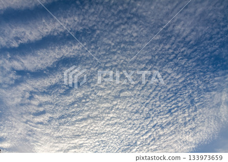 The shape of altocumulus clouds, also known as sheep clouds, spreading across the sky The shape of altocumulus clouds, also known as sheep clouds, spreading across the sky 133973659