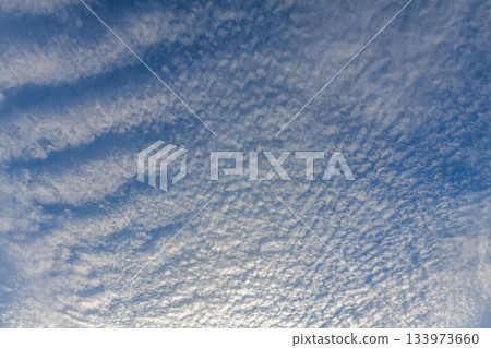 The shape of altocumulus clouds, also known as sheep clouds, spreading across the sky The shape of altocumulus clouds, also known as sheep clouds, spreading across the sky 133973660