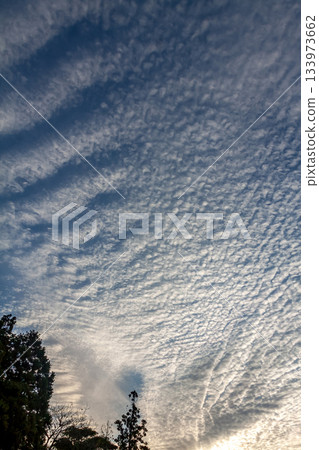 The shape of altocumulus clouds, also known as sheep clouds, spreading across the sky 133973662