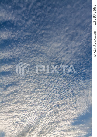 The shape of altocumulus clouds, also known as sheep clouds, spreading across the sky The shape of altocumulus clouds, also known as sheep clouds, spreading across the sky 133973663