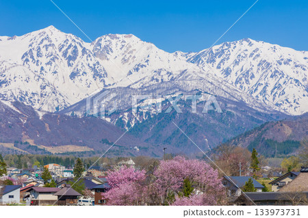 長野縣白馬村的春天：從著名的賞櫻勝地大出公園眺望白馬三山。 133973731