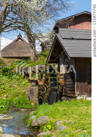 長野縣白馬村的春天，大出公園，水磨坊 133973748