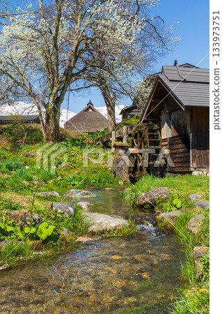 長野縣白馬村的春天，大出公園，水磨坊 133973751