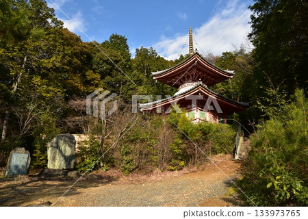 今熊野觀音寺,樹木環繞的寶塔 今熊野觀音寺,樹木環繞的寶塔 133973765