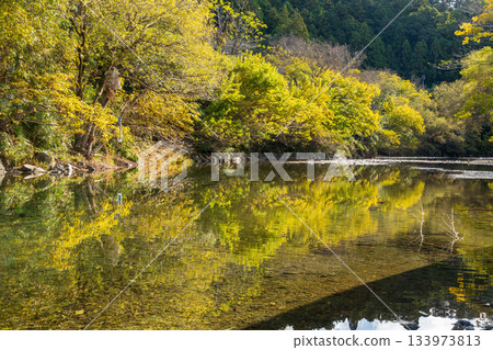 靜岡縣濱松市愛宕川清澈溪流的11月秋景 靜岡縣濱松市愛宕川清澈溪流的11月秋景 133973813
