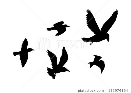 Flying flock of birds silhouette, Simple swallows in flight, crows in the sky. Group of birds border. 133974164