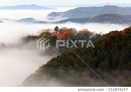 山四郎6571 133974247