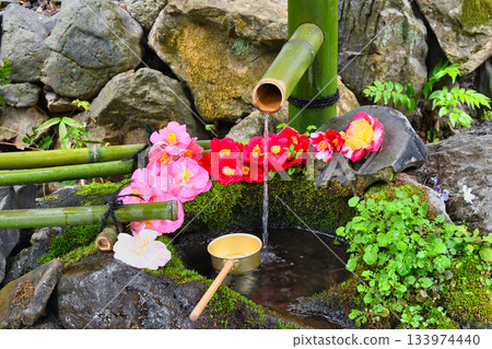京都大豐神社（京都府京都市左京區）美麗的山茶花水池 133974440