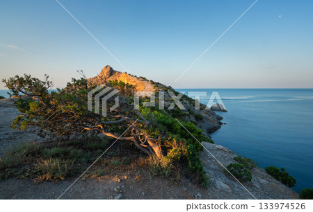 View of Cape Kapchik and the bay in Novy Svet from the Golitsyn Trail View of Cape Kapchik and the bay in Novy Svet from the Golitsyn Trail 133974526