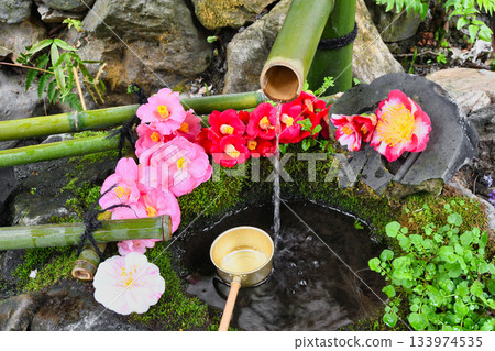 京都大豐神社（京都府京都市左京區）美麗的山茶花水池 133974535