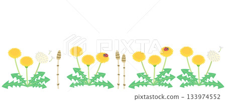 Dandelion and Horsetail background illustration 133974552