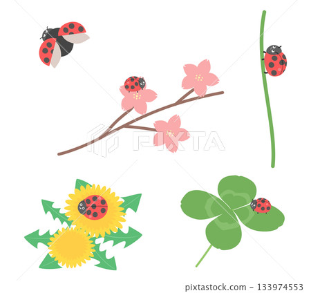 花朵和瓢蟲插圖集 133974553