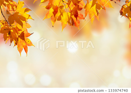 Colorful abstract fireworks on purple background illustration Colorful abstract fireworks on purple background illustration 133974740