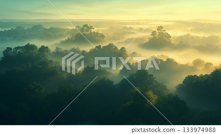 日落或日出，遠處霧氣瀰漫的森林景色，動畫風格 133974988