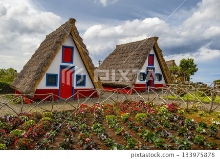 Traditional hut houses and garden of Madeira in village Santana. Sunny day in Portugal, tourist destination Traditional hut houses and garden of Madeira in village Santana. Sunny day in Portugal, tourist destination 133975878