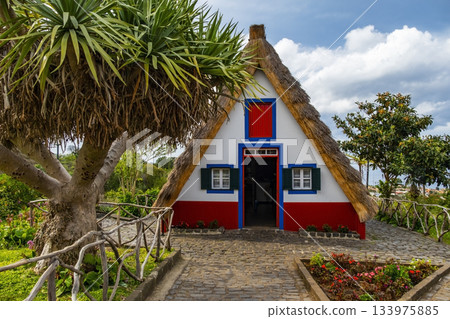 Traditional hut houses and garden of Madeira in village Santana. Sunny day in Portugal, tourist destination Traditional hut houses and garden of Madeira in village Santana. Sunny day in Portugal, tourist destination 133975885