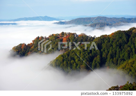 Mountain castle in the sky with autumn leaves 2503 133975892