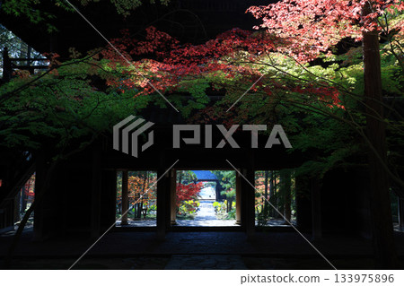 秋葉7109 秋葉7109 133975896