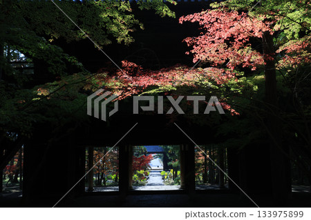 秋葉7182 秋葉7182 133975899