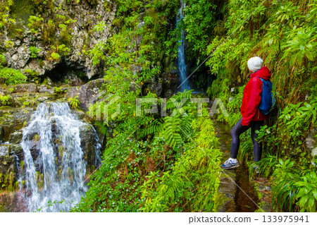 Travelers explore the beautiful levada trails in Madeira, experiencing the breathtaking views of a stunning waterfall surrounded by vibrant ferns and natural beauty Travelers explore the beautiful levada trails in Madeira, experiencing the breathtaking views of a stunning waterfall surrounded by vibrant ferns and natural beauty 133975941