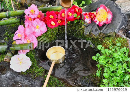 京都大豐神社（京都府京都市左京區）美麗的山茶花水池 133976019