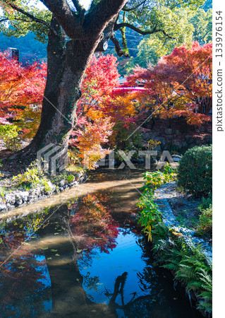 伊勢波神社景色 伊勢波神社景色 133976154