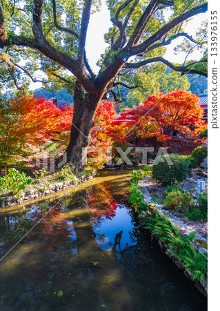 伊勢波神社景色 伊勢波神社景色 133976155