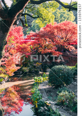 伊勢波神社景色 伊勢波神社景色 133976157
