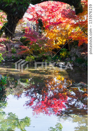 伊勢波神社景色 伊勢波神社景色 133976159