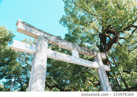 伊勢波神社景色 伊勢波神社景色 133976164