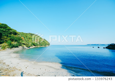 Scenery of Iseha Shrine 133976243