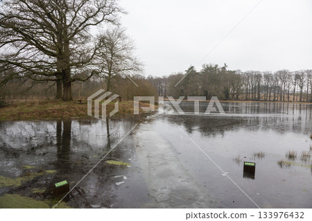 High water frozen at Monnikenberg Estate in Hilversum, Netherlands during winter months creating a tranquil scene in nature 133976432