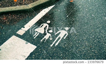 Family Parking Symbol on Wet Asphalt 133976679