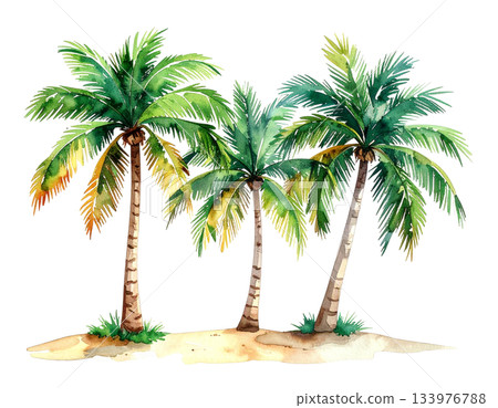 Three palm trees watercolor illustration 133976788