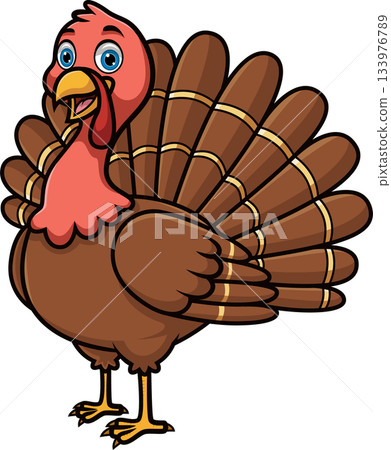Cute cartoon turkey on white background Cute cartoon turkey on white background 133976789