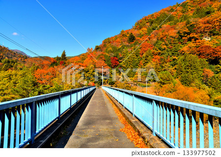 Nakanoshima Bridge/Hayakawa area (Hayakawa Town, Yamanashi Prefecture) [November 2025] 133977502