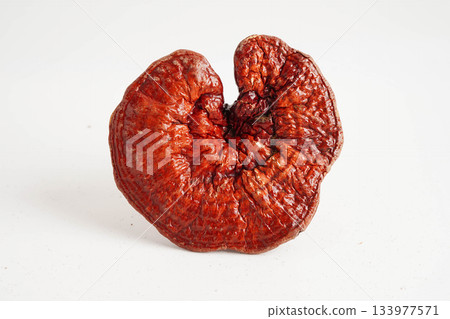 Lingzhi or Reishi mushroom with capsules, organic natural healthy food. Lingzhi or Reishi mushroom with capsules, organic natural healthy food. 133977571