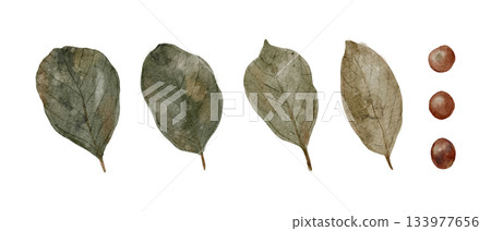 elegant botanical design in muted tones, softly painted natural elements suitable for various designs 133977656