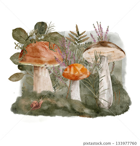 Peaceful mushroom scene, Tranquil watercolor depicting fungi among foliage 133977760