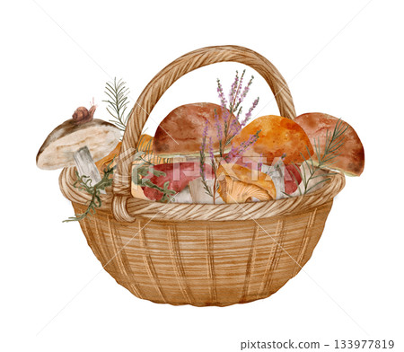 autumnthemed forest mushroom artwork, handcrafted watercolor scene of woodland fungi in fall colors 133977819