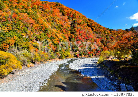 Nakanoshima Bridge / View downstream from Hayakawa River (Hayakawa Town, Yamanashi Prefecture) [November 2025] 133977823