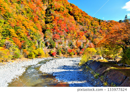 Nakanoshima Bridge / View downstream from Hayakawa River (Hayakawa Town, Yamanashi Prefecture) [November 2025] 133977824