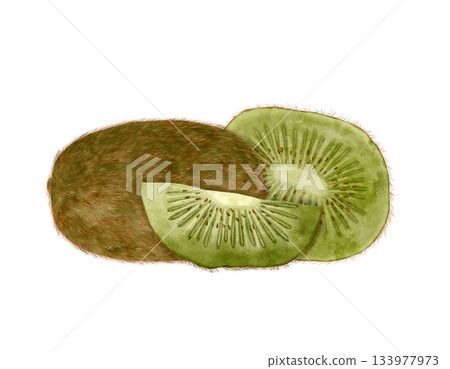 Beautifully arranged Fresh Kiwi Slices along with Whole Fruit against a White Background Beautifully arranged Fresh Kiwi Slices along with Whole Fruit against a White Background 133977973