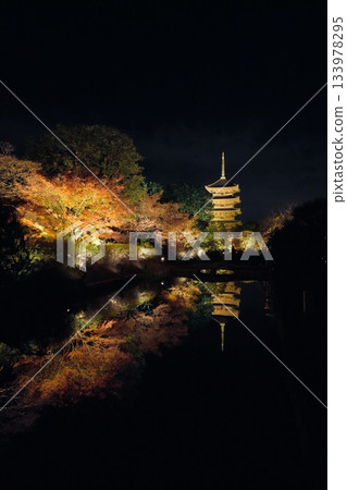 京都東寺的楓葉燈光秀 133978295