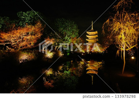 Maple illumination at Toji Temple in Kyoto 133978298