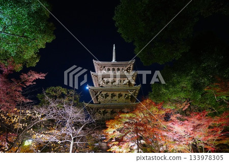 京都東寺的楓葉燈光秀 京都東寺的楓葉燈光秀 133978305